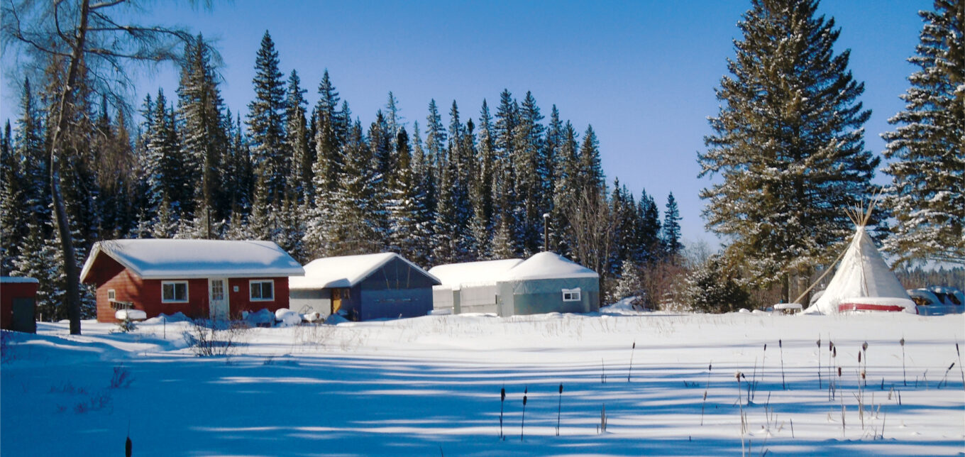Retirement Homestead – Mother Earth News - Vimarsana News